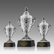 Crystal Cup Trophies Crystal Cup Trophies